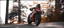 HICH:What's are the common issues faced by Ducati owners according to  public reviews?