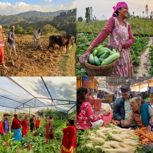 HICH:How agrotourism can be developed as a viable business model in Nepal? #Research