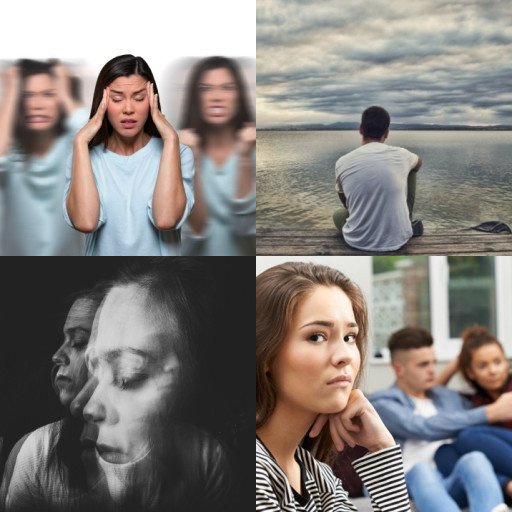 HICH:If you could remove one human emotion from your life, what would it be?