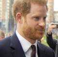 HICH:Prince Harry has admitted to using drugs in his past. Should this affect his US visa like it would for ‘regular’ people?