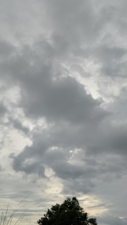HICH:sky