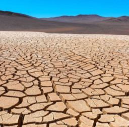 HICH:How should Spain combat the drought?