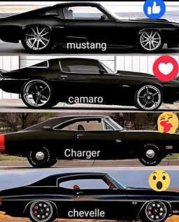 HICH:Which model do you like the most ?