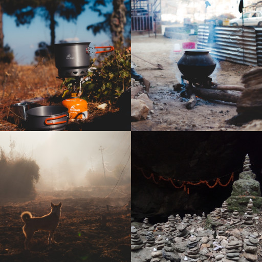 HICH:Which of these natural clicks attracts you most?
#photography