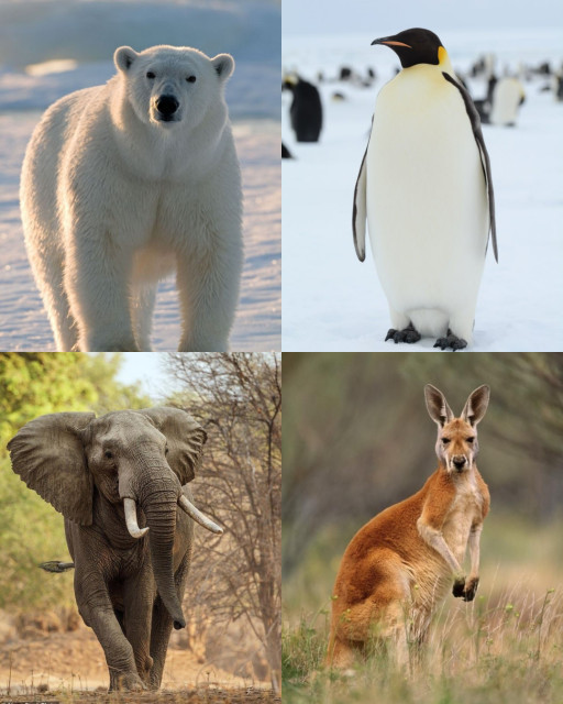 HICH:Which species is most threatened by global warming?