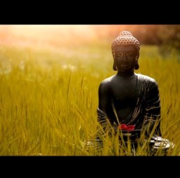 HICH:Celebrating the light of Buddha's wisdom and peace. May this day bring you enlightenment and joy.
#HappyBuddhaJyanti💗💗
