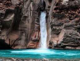 HICH:Rate this picture