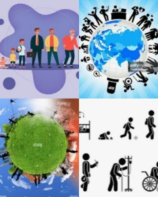HICH:The human life cycle a continuous process of development typically in volves stage like prenatal development infancy childhood adolescence adults,old.