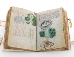 HICH:What is the Voynich Manuscript, and why is it considered one of the most mysterious books in the world?