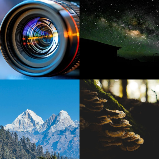 HICH:What Matters Most in Camera and photo Quality?
#photography