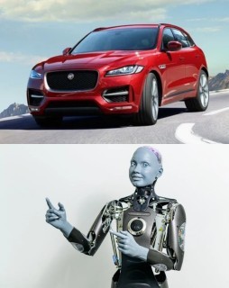 HICH:Which one is car?