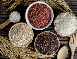HICH:What is the primary difference between brown rice and white rice?