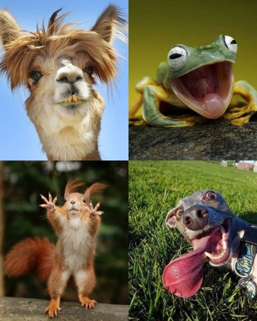 HICH:Which is funny?