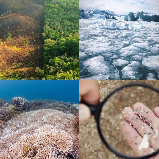 HICH:Which of these would trigger the fastest ecosystem collapse?