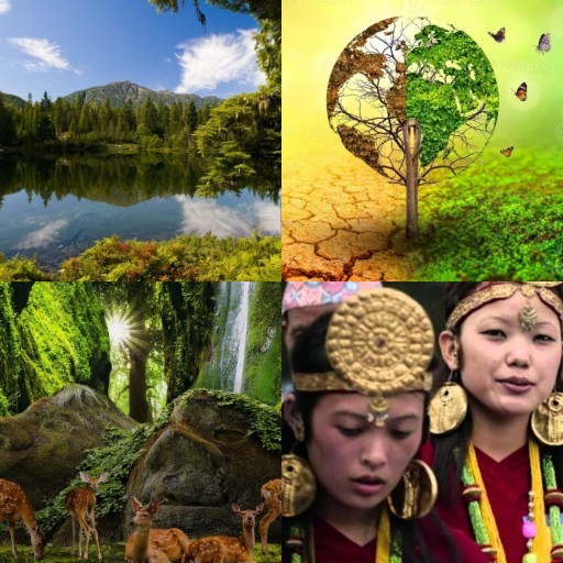 HICH:If future generations could speak to us now what would they beg us to protect the most?