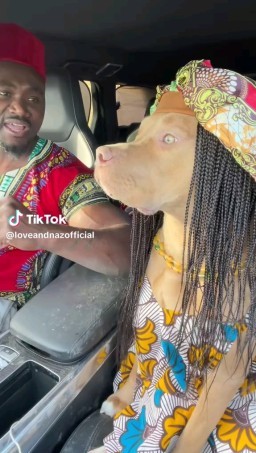 HICH:The love for dogs 🥰🥰🥰
