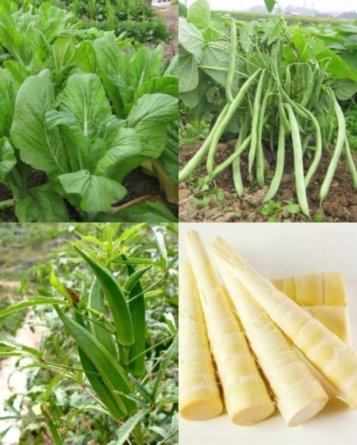 HICH:Which vegetable do you like the most?
#HICH #like #follow