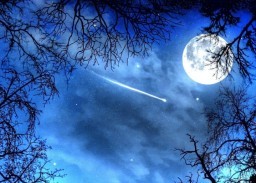 HICH:The moon has its own moon, true or false?