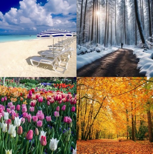 HICH:Which is your best season of the year?