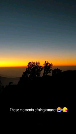 HICH:Some unforgettable glimpses of singlamane trek.😊