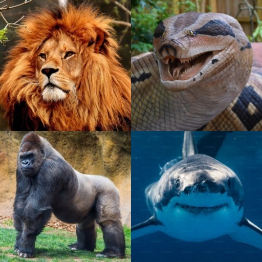 HICH:If Humans Extinct, Who do you think will rule Earth?