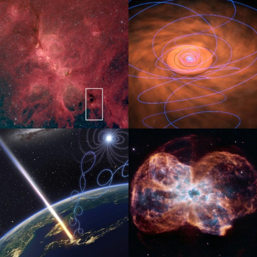 HICH:Which factor do you consider most pivotal in steering a protostar's evolution?
