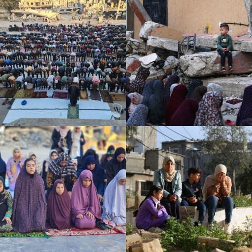 HICH:Is it permissible not to celebrate Eid,out of sorrow for What is happening to the Muslims in Gaza and elsewhere?
#EidCelebration