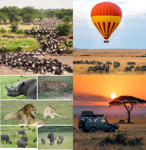 HICH:If you could experience one unforgettable moment in Maasai Mara, what would it be?