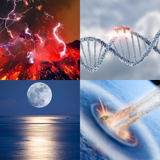 HICH:which of the following do you believe played the most crucial role in the evolution of intelligent life?