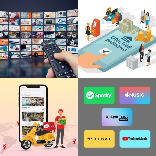 HICH:Which of the following types of online products/services are you currently subscribed to?