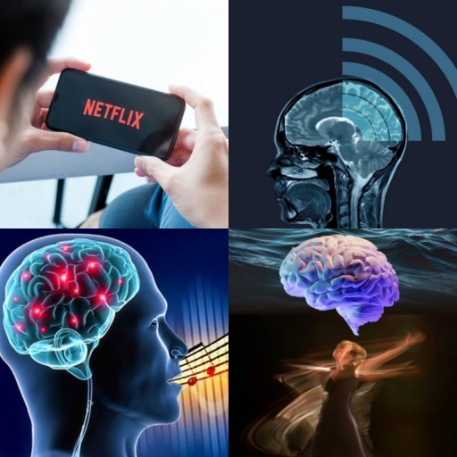 HICH:What’s your brain doing during serious moments? 🧠
