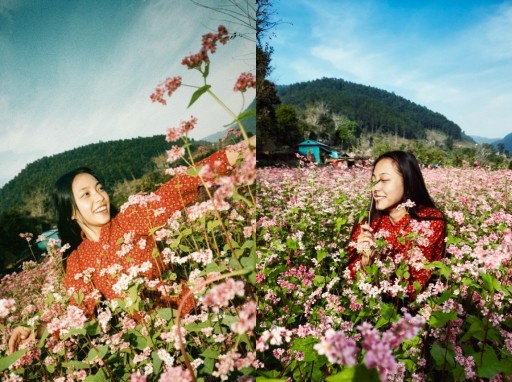 Post preview