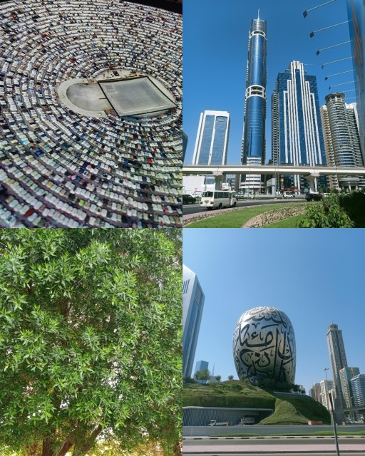 HICH:Which is the best photo # hich #follow me