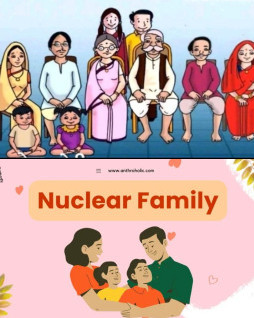 HICH:Which family do you like?