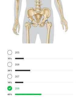 HICH:Thank you guys. It sink in my brain cells how many bones has an adult human have because of hundred post about it 😂