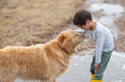 HICH:Do you respect animals the same way you respected humans?