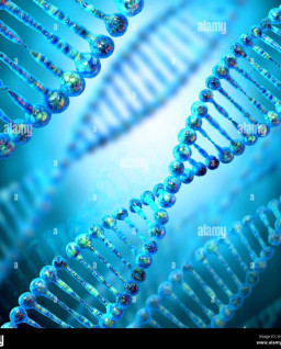 HICH:What does DNA stand for?