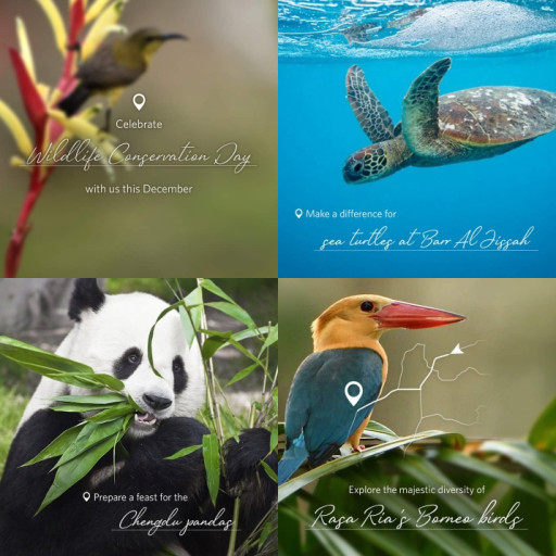 HICH:Wildlife Conservation Day . Lets protect and help to preserved our wildlife homies across the globe.