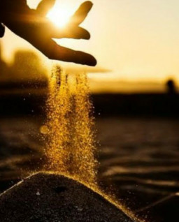 HICH:How do you view life's fleeting moment?