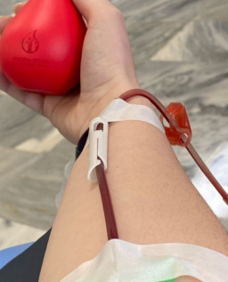 HICH:Do you support blood donation?