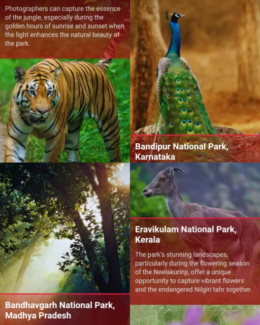 HICH:Breathtaking National Park in India . Which you want to visit.