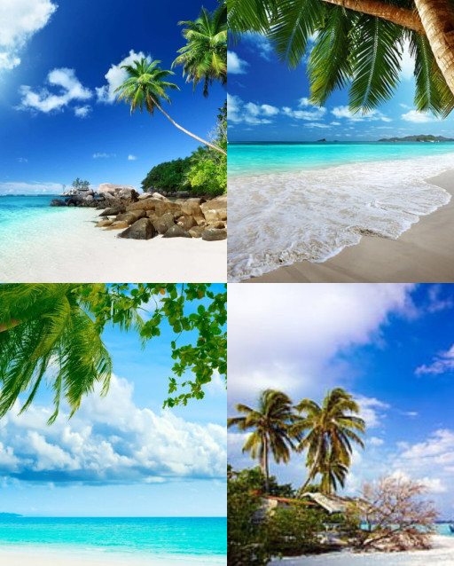 HICH:Which is the best Wallpaper ?
#Beach