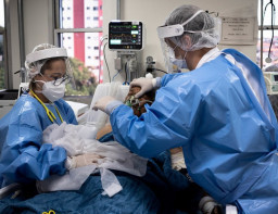 HICH:Do you think the COVID19 Pandemic could have been prevented or stopped if we took action in time ?