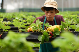 HICH:What is the most rewarding part of working in a rural setting?