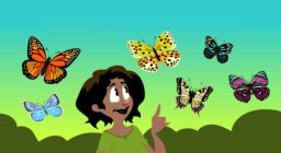 HICH:There are different types of butterflies in this world. Here what kind of butterfly colors do you like ? 🦋🦋🦋🦋🦋🦋