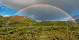HICH:Rainbow shows seven meanings of seven colors, which color is your favorite among rainbow colors?🌈🌈🌈🌈🌈