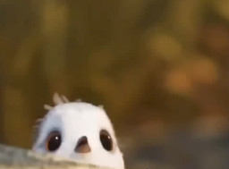 HICH:What valuable lesson can humans learn from observing birds?