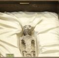 HICH:How do you feel about the 1000 year old Alien found in Mexico?