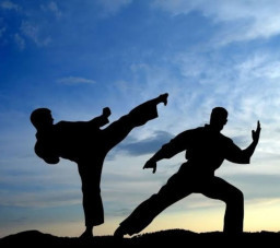 HICH:Do you participate in any martial art? 🏅